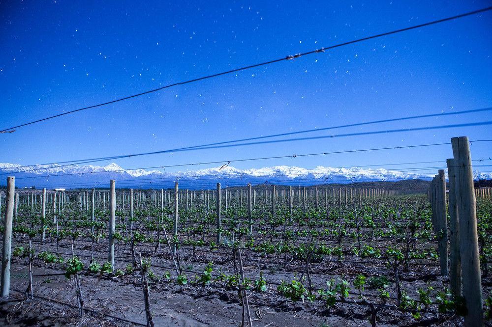 Auberge Du Vin, A Tribute Portfolio Hotel Tupungato Buitenkant foto